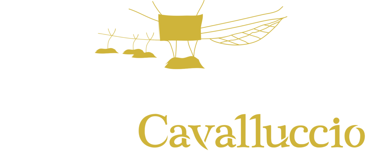Trabocco Punta Cavalluccio